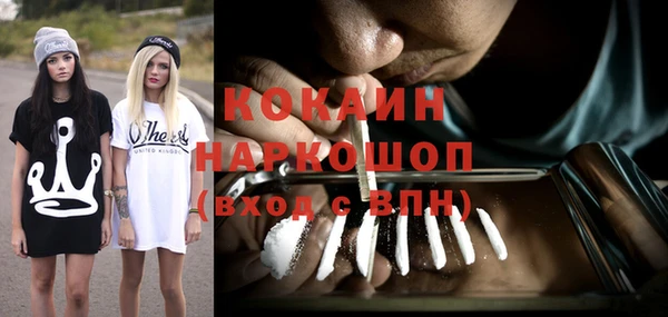 крисы Кулебаки