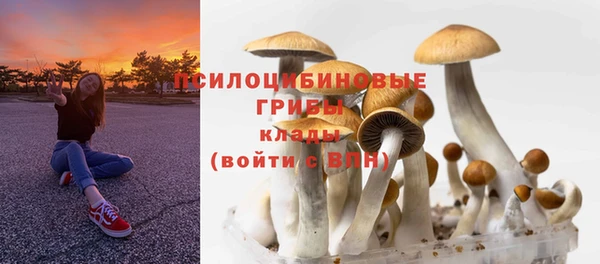 крисы Кулебаки