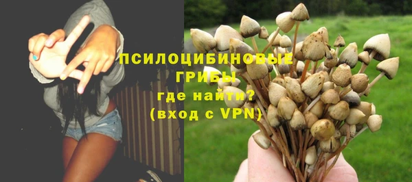 прущие грибы Бикин