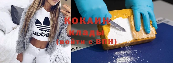 крисы Кулебаки