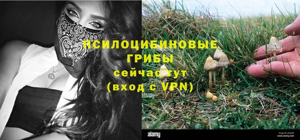 ECSTASY Кукмор