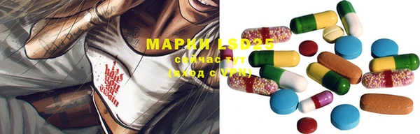 крисы Кулебаки