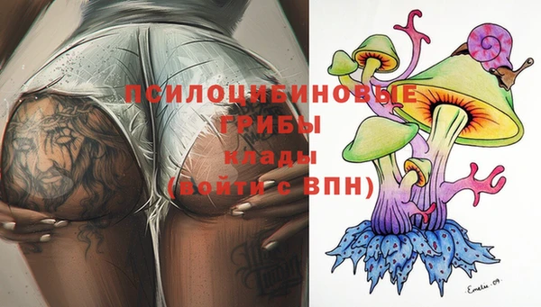 ECSTASY Кукмор
