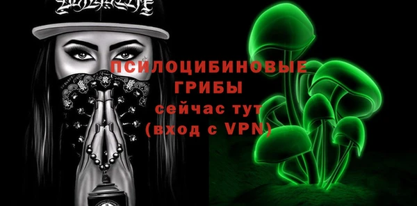 ECSTASY Кукмор
