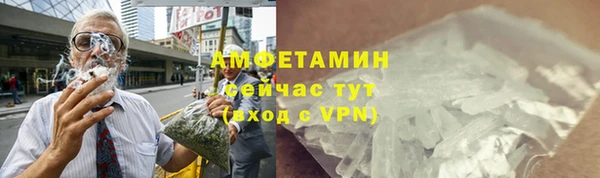 крисы Кулебаки