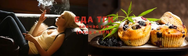 крисы Кулебаки