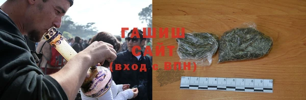 крисы Кулебаки