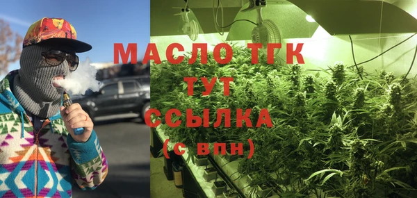 крисы Кулебаки