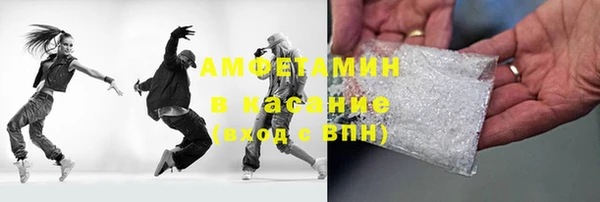 крисы Кулебаки