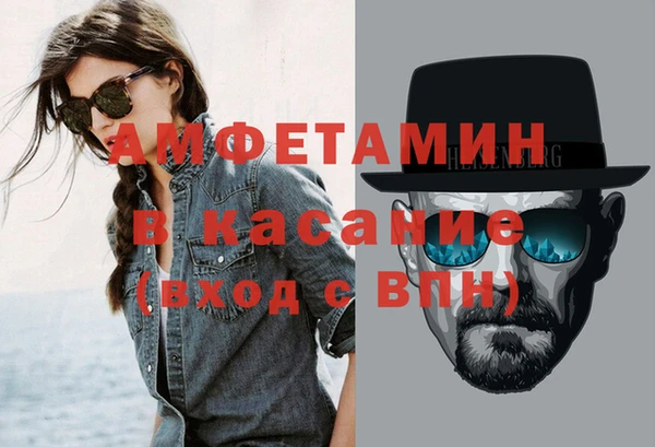 крисы Кулебаки