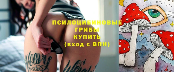 ECSTASY Кукмор