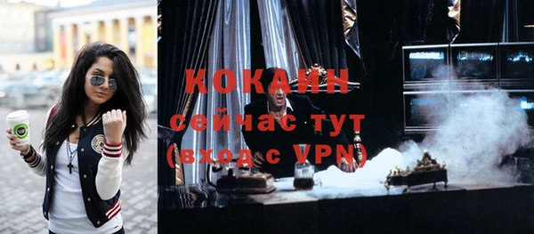 крисы Кулебаки