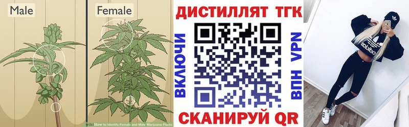 ТГК вейп  закладки  Мурино 