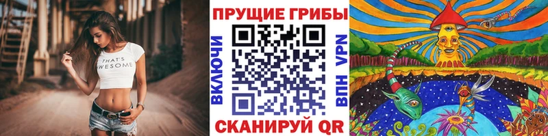 Галлюциногенные грибы ЛСД Мурино