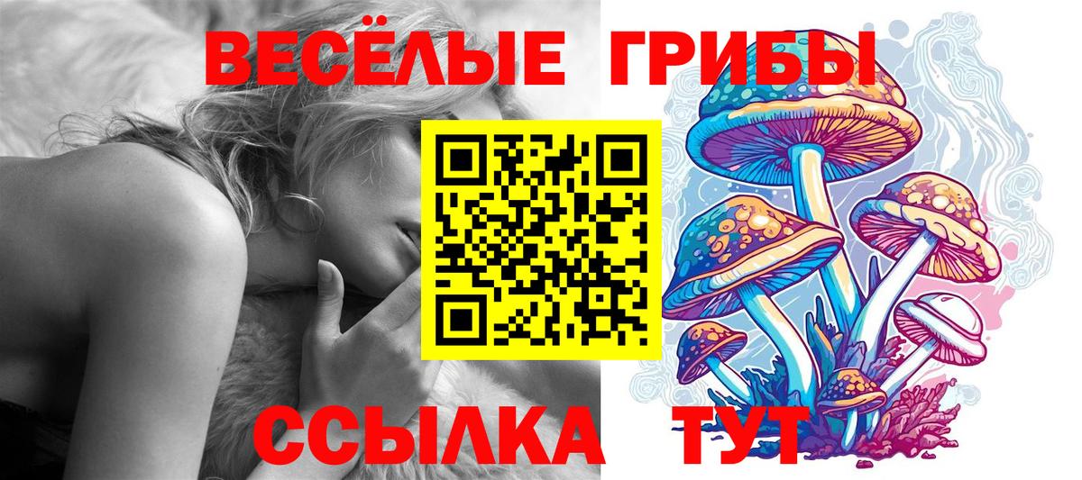 Псилоцибиновые грибы GOLDEN TEACHER  купить наркоту  Мурино  Вход с VPN 